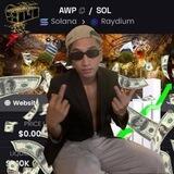 $AWP - Ansem Wif Photographer