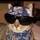 el Cholo Cat Barrio