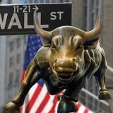 Wall Street Bull $WSB