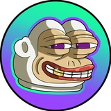 BONKEY COIN | CTO