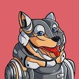 Solordi - Official Community