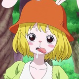Carrot