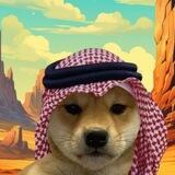 HabibiDog Portal كلب حبيبي