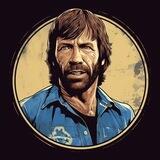 CHUCK NORRIS COIN - BSC - AUDIT - REFLECTIONS 👊🏻