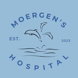 GALERY MOERGEN'S