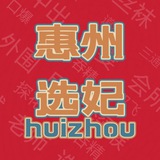 惠州出击大队选妃榜（已验证资源）