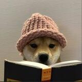 dogwifbook - portal