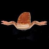 Že čo FullBacon?