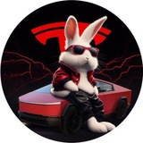 Rab in the Tesla world
