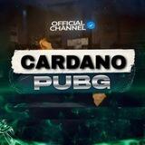 PP CARDANO
