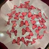 🦋babochki_navoi🦋
