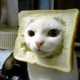 breadcat portal