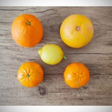 Isabella Vendrame_foodcoach