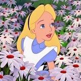 alice!