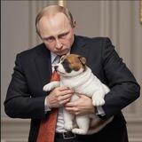 $PUPTIN