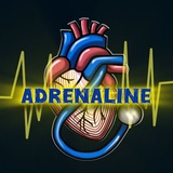Adrenaline Team (PRE 10)