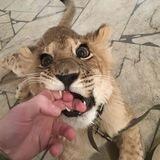 快手激活50 两单一结