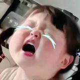 团子的日常