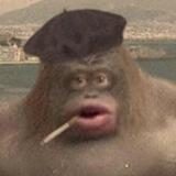 LE MONKE VERIFY