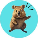 Quirky Quokka Coin Channel