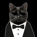 $CIB CAT IN BLACK