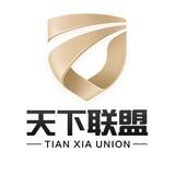 天下联盟 代收付