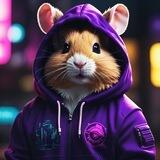 SOL HAMSTER🐱