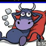 UNDICESIMO TORO ♉