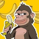 Monkey On Sol