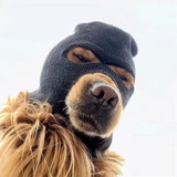 $SKI Mask Dog - Portal