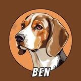 Ben —Trump’s Stray Dog