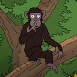 Smelly 🐒 PORTAL