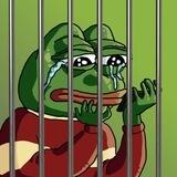 Pepe in Jail | SOL