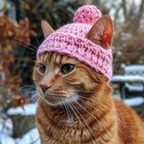 Hobbes Wif Hat