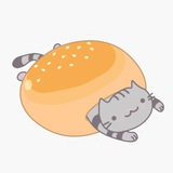 CAT in a BUN