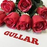 🌺 GULLAR 🌺