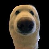 Boop | Solana