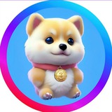 TEDDY BEAR INU