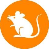 ratsBRC20🐀百万社区🐭