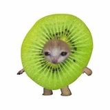 $KIWI Portal