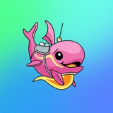 @Whale memes