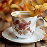 🍂 شعر و ترانه 🍂