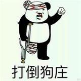 狗推生涯