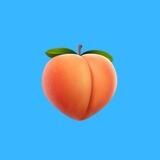 BOYPUSSIES 🔞