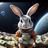 BUNNY MONEY TOKEN (Official)