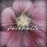 feveralte.