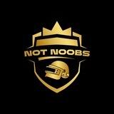 Not Noobs Esports
