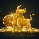Trade with Neo