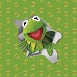 KERMIT - 0/0 TAX on ETH