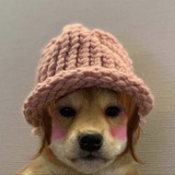 Dogawifhat $WIFA